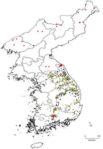 Betula schmidtii image