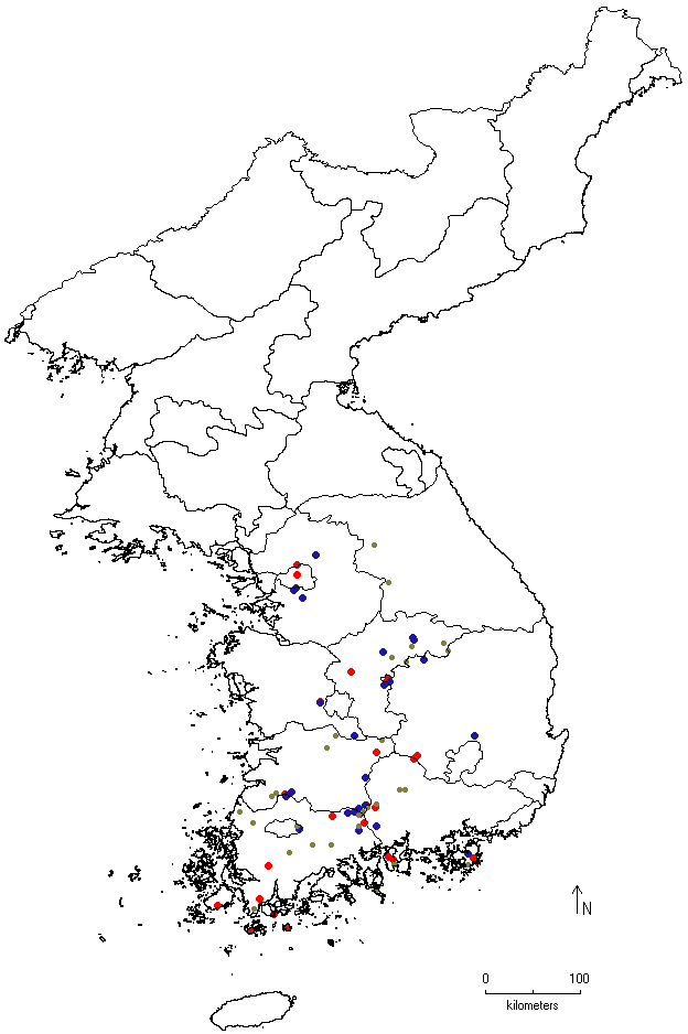 Cephalotaxus harringtonia image