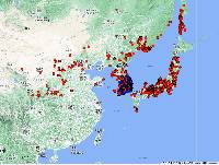 Juniperus rigida image