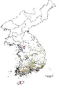 Rhododendron yedoense f. poukhanense image