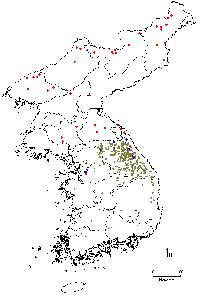 Image of Juglans mandshurica