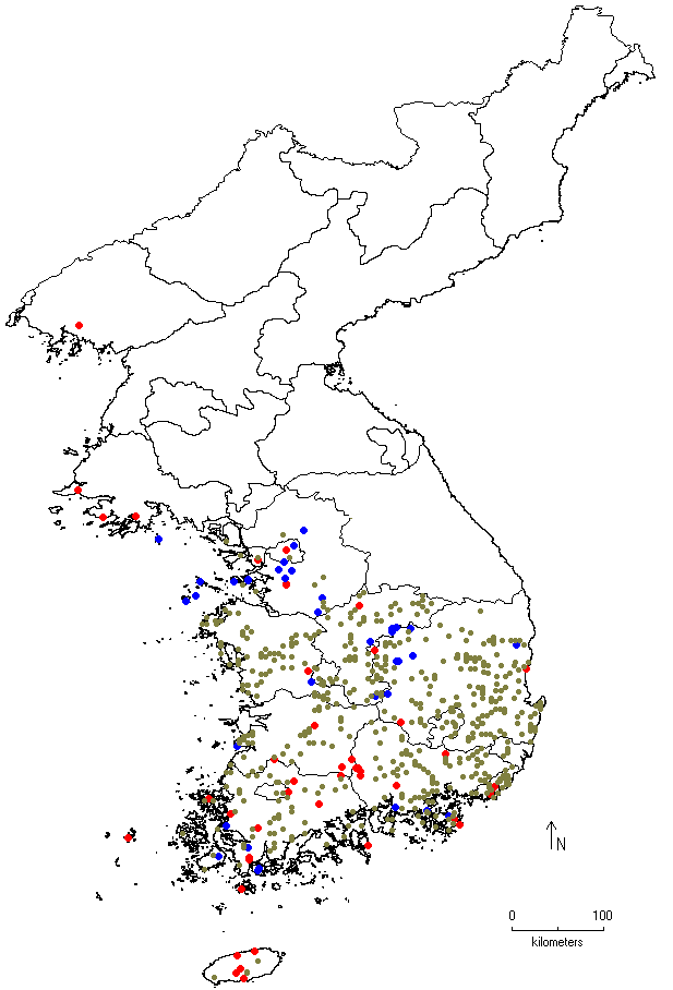 Platycarya strobilacea image