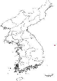 Pinus parviflora image
