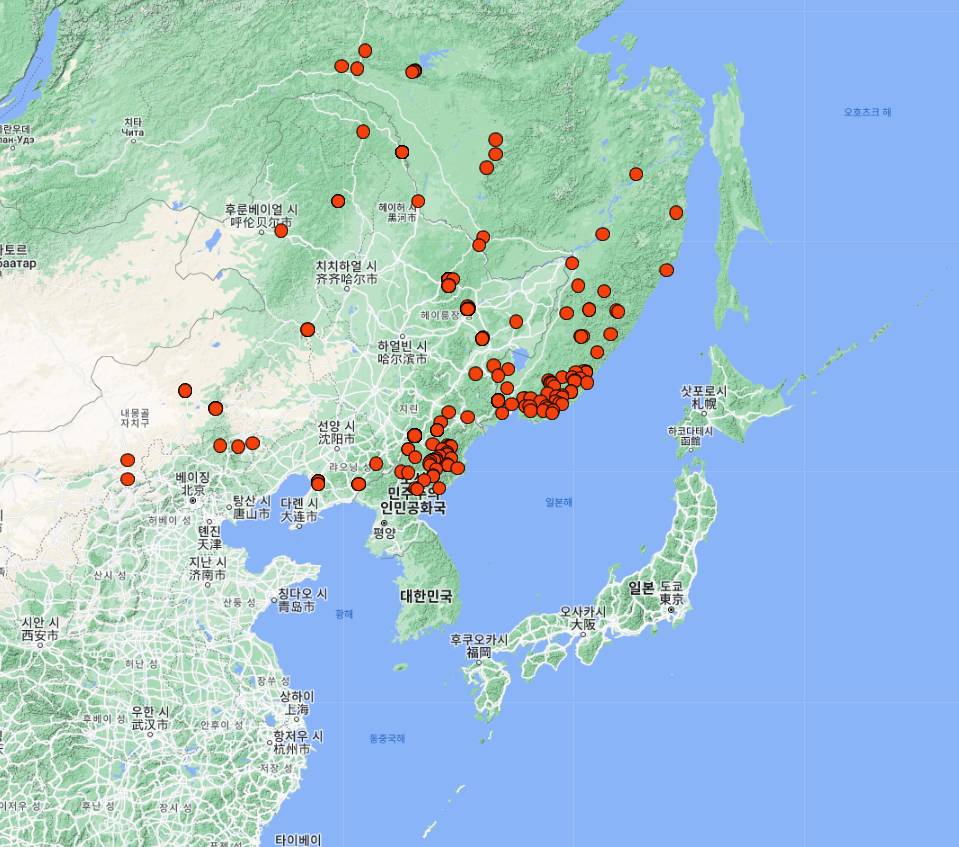 Picea koraiensis image