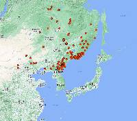 Picea koraiensis image