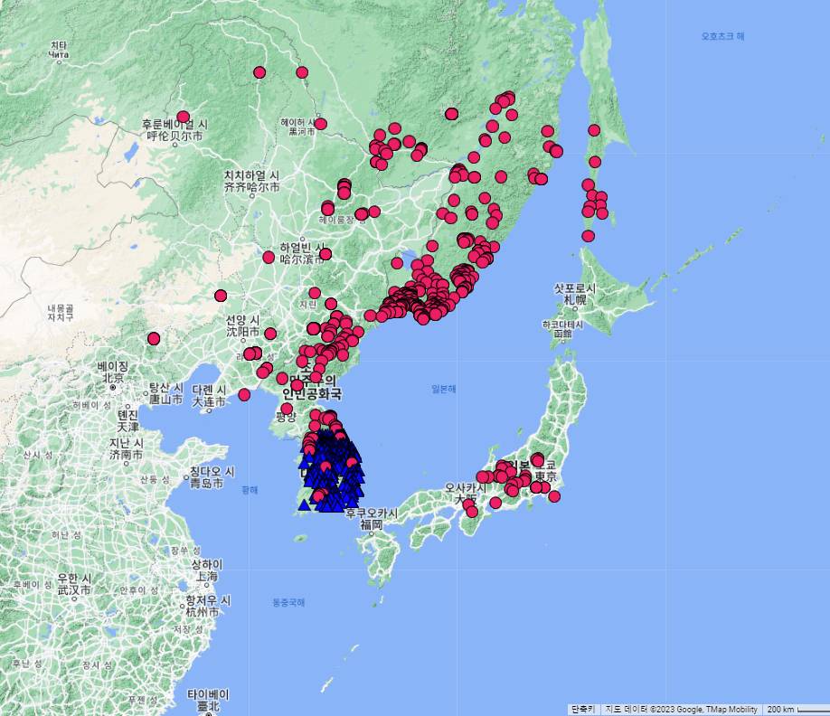 Pinus koraiensis image