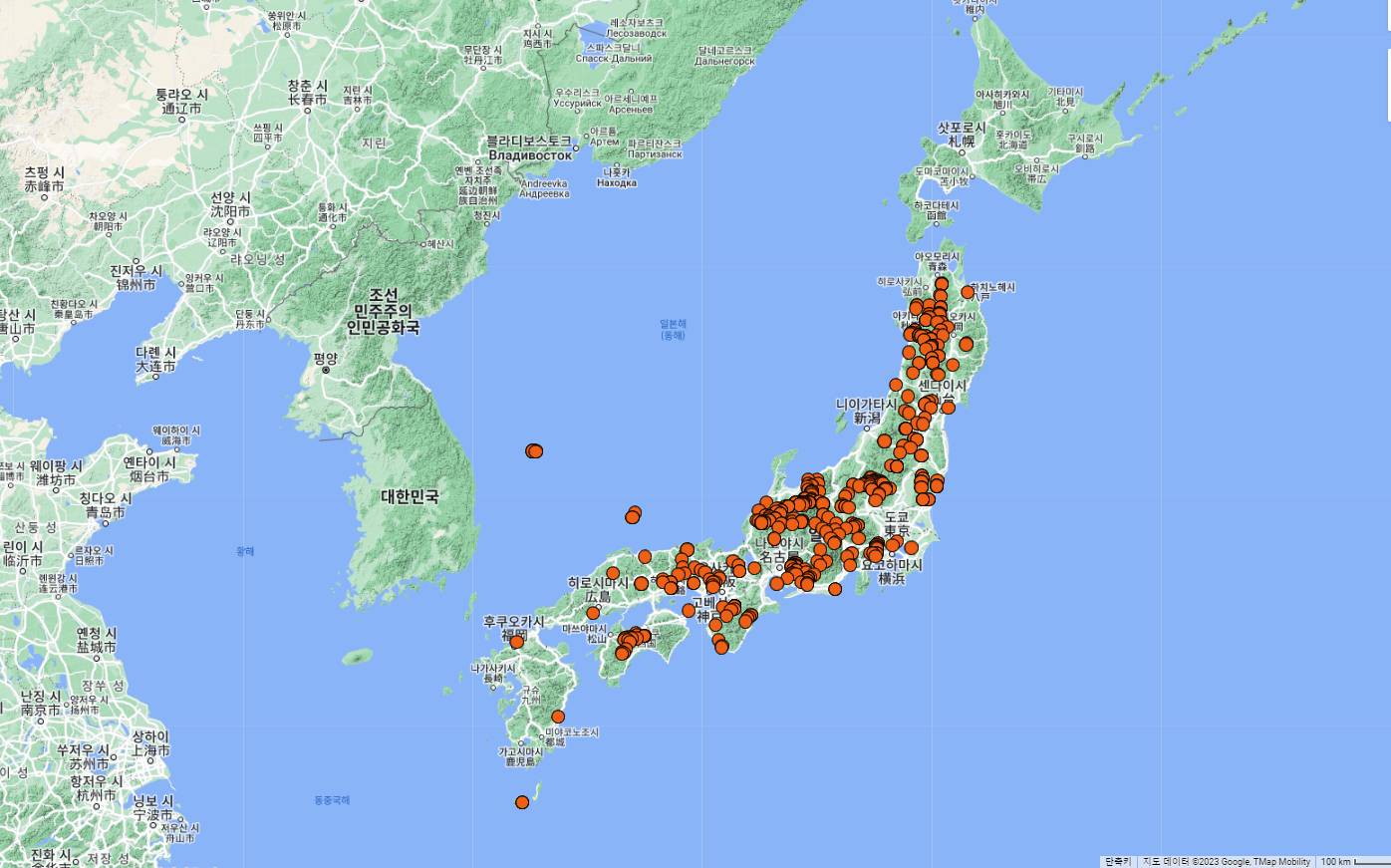 Pinus parviflora image