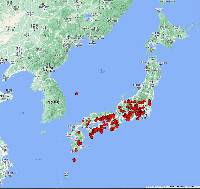 Tsuga sieboldii image