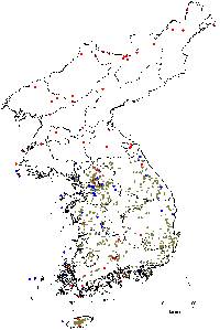 Sorbus alnifolia image