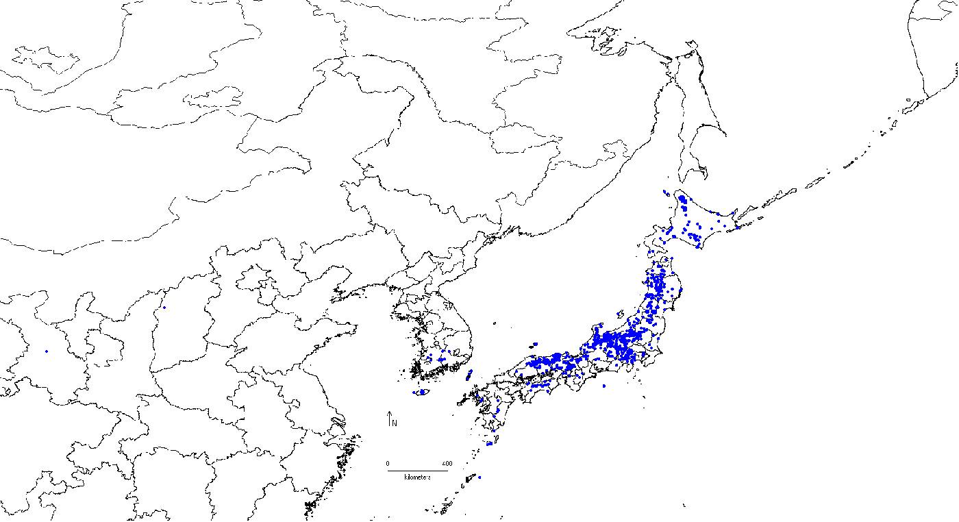 Sorbus alnifolia image