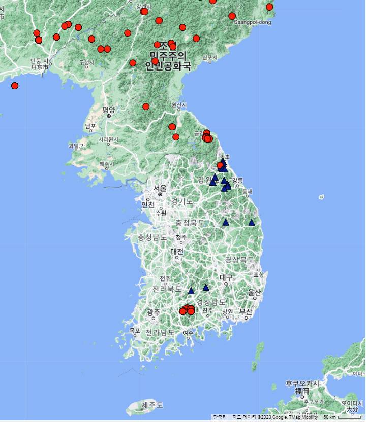 Acer barbinerve image