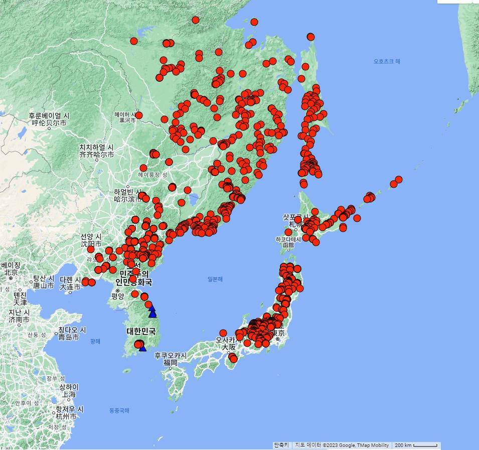 Acer caudatum var. ukurunduense image
