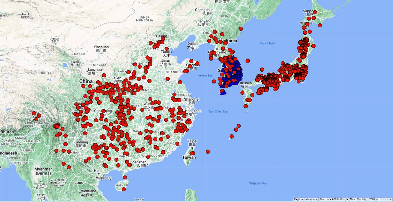 Picrasma quassioides image