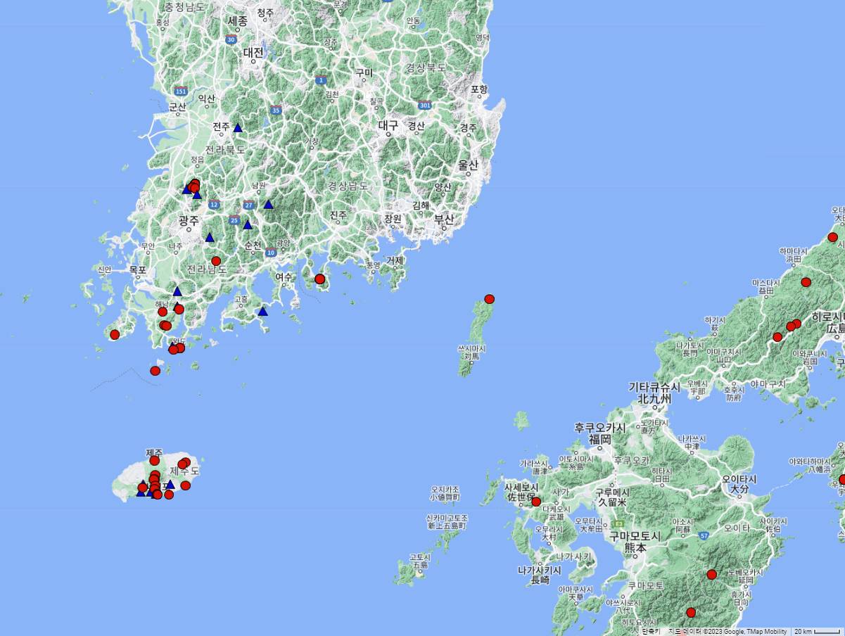 Torreya nucifera image