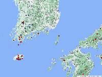 Torreya nucifera image