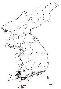 Image of Eurya emarginata