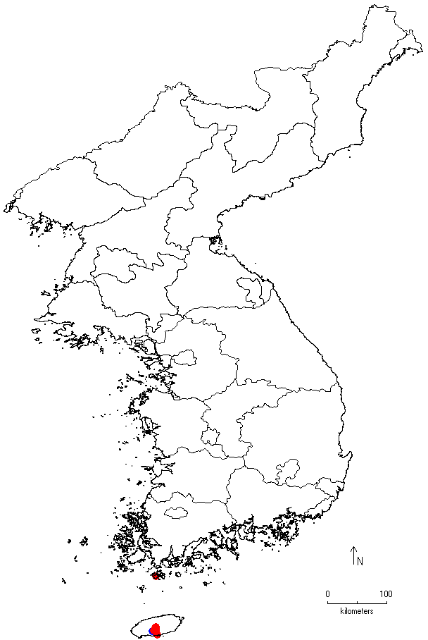 Ternstroemia gymnanthera image