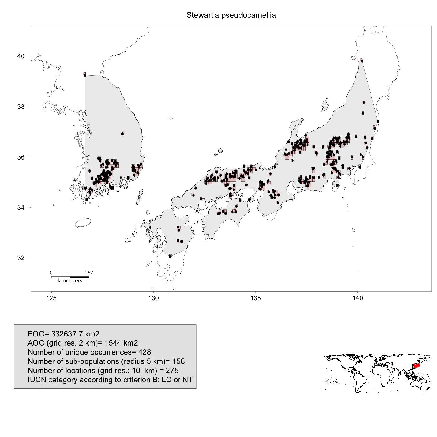 Stewartia pseudocamellia image