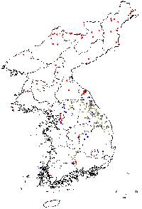 Image of Tilia mandshurica