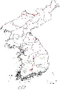 Image of Hemiptelea davidii