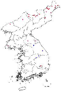 Image of Ulmus macrocarpa