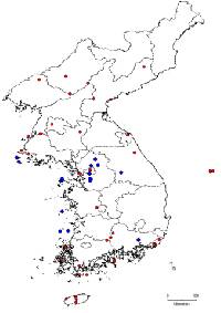 Parthenocissus tricuspidata image